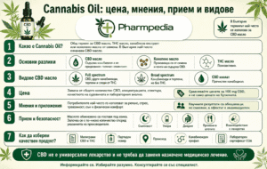 Мнения и цена за канабис ойл