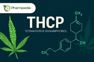 THCP - Какво е, Ефекти, Законно ли е в България, Цена